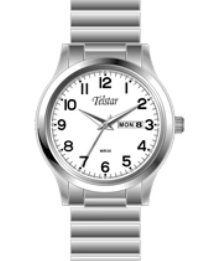 Telstar Gents Expander Watch